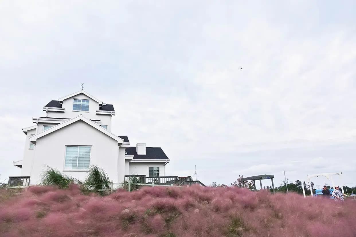 소금빵까페 키친오즈 사진