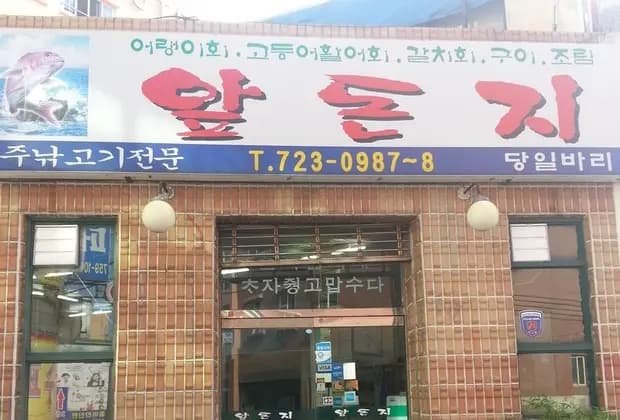 앞돈지 사진