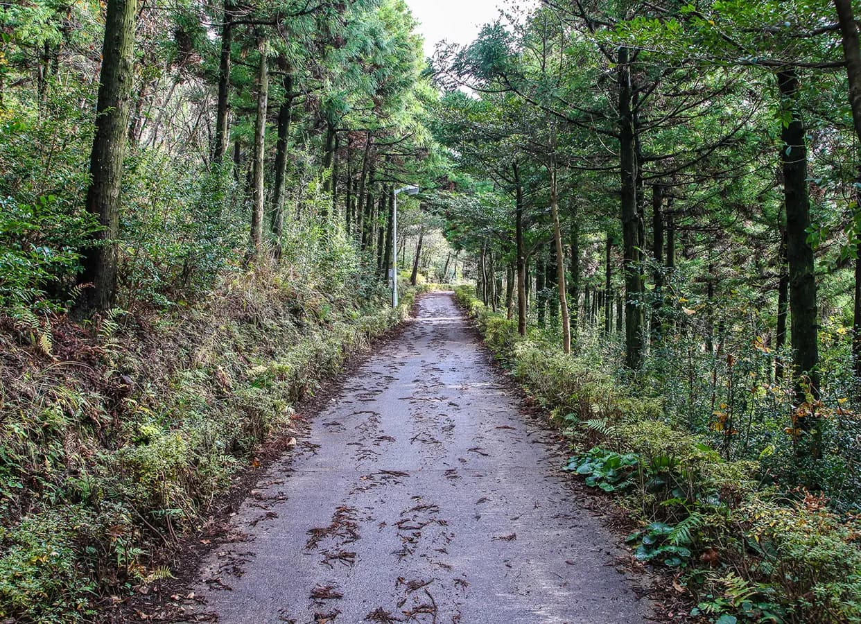 고근산(고공산) 사진 1