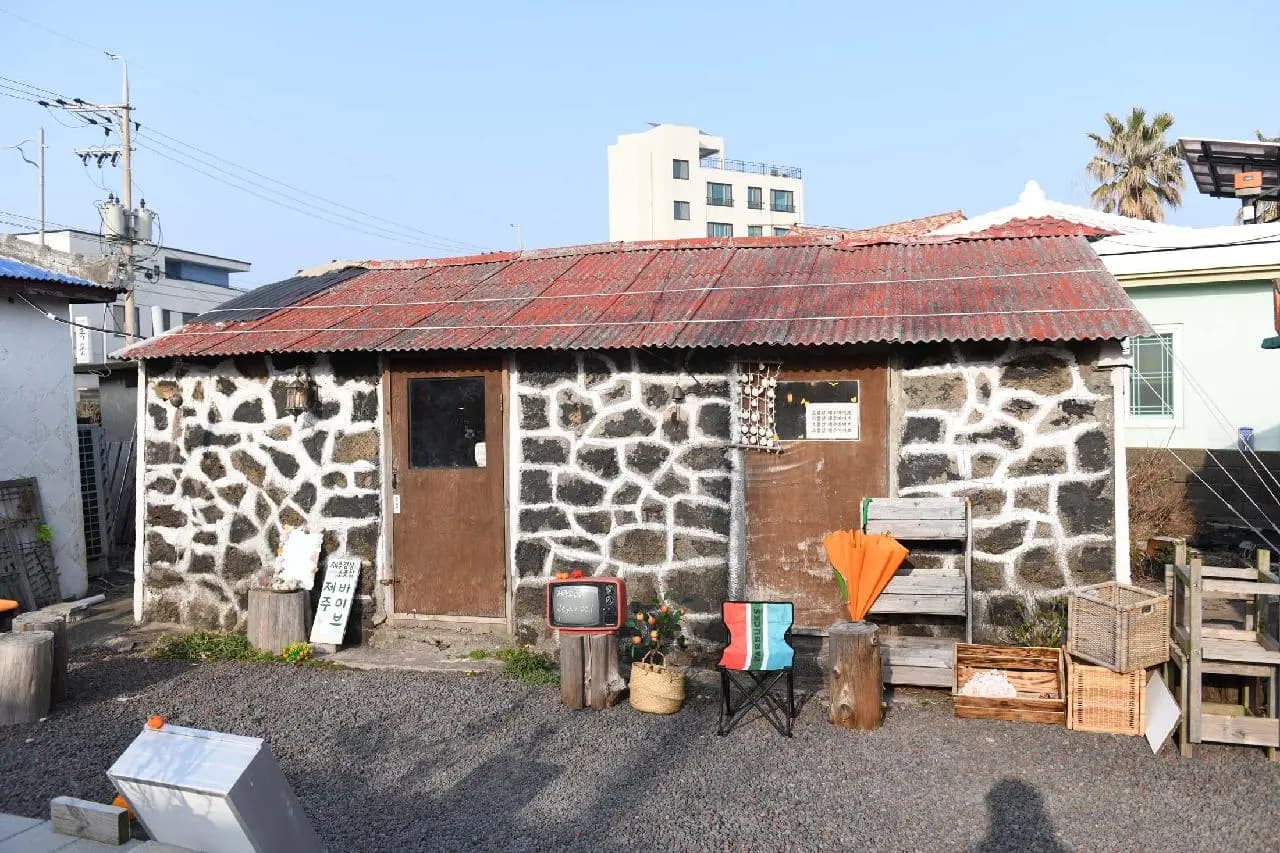 제주바이브 사진 1