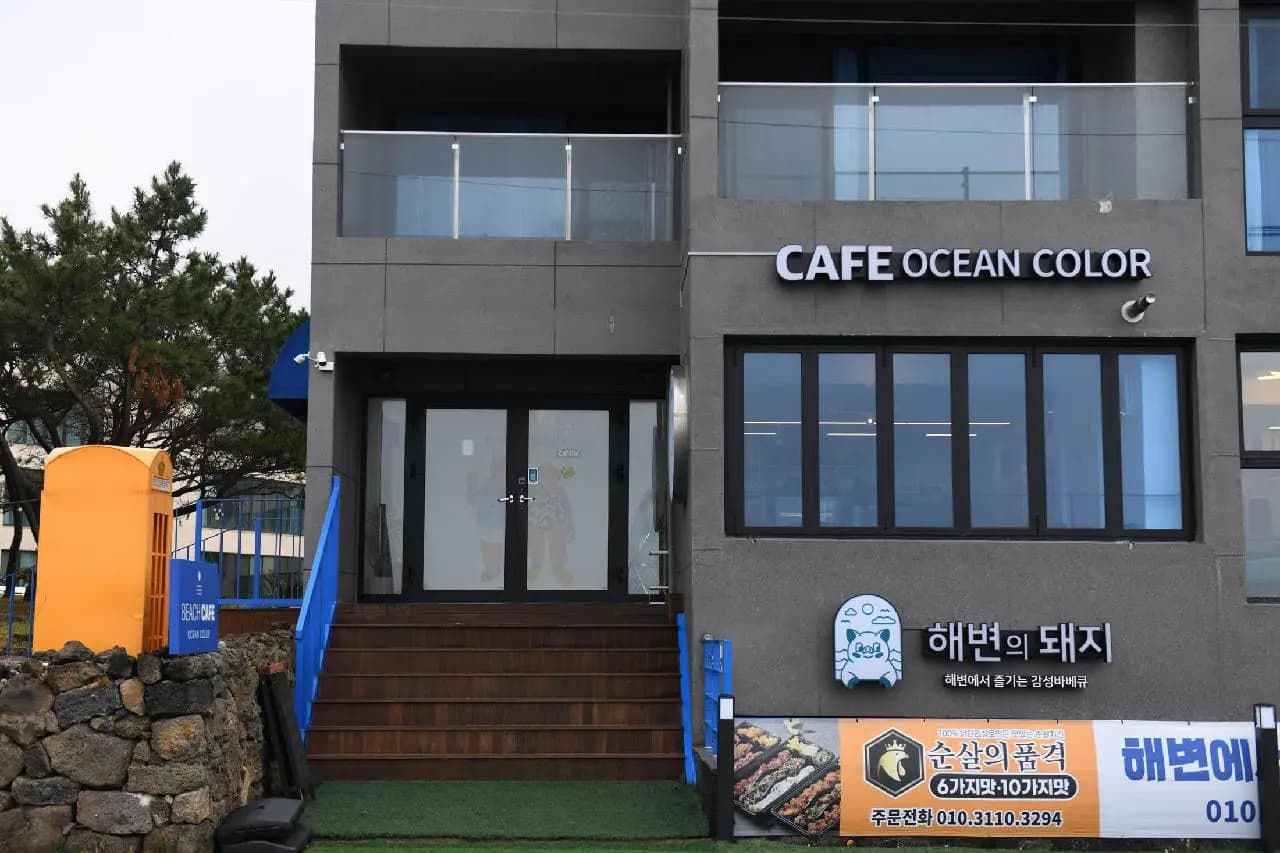 오션컬러 사진
