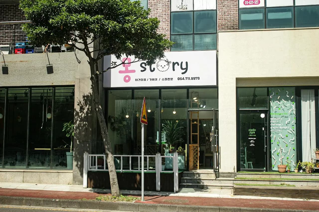 몽story애견미용실 사진 1