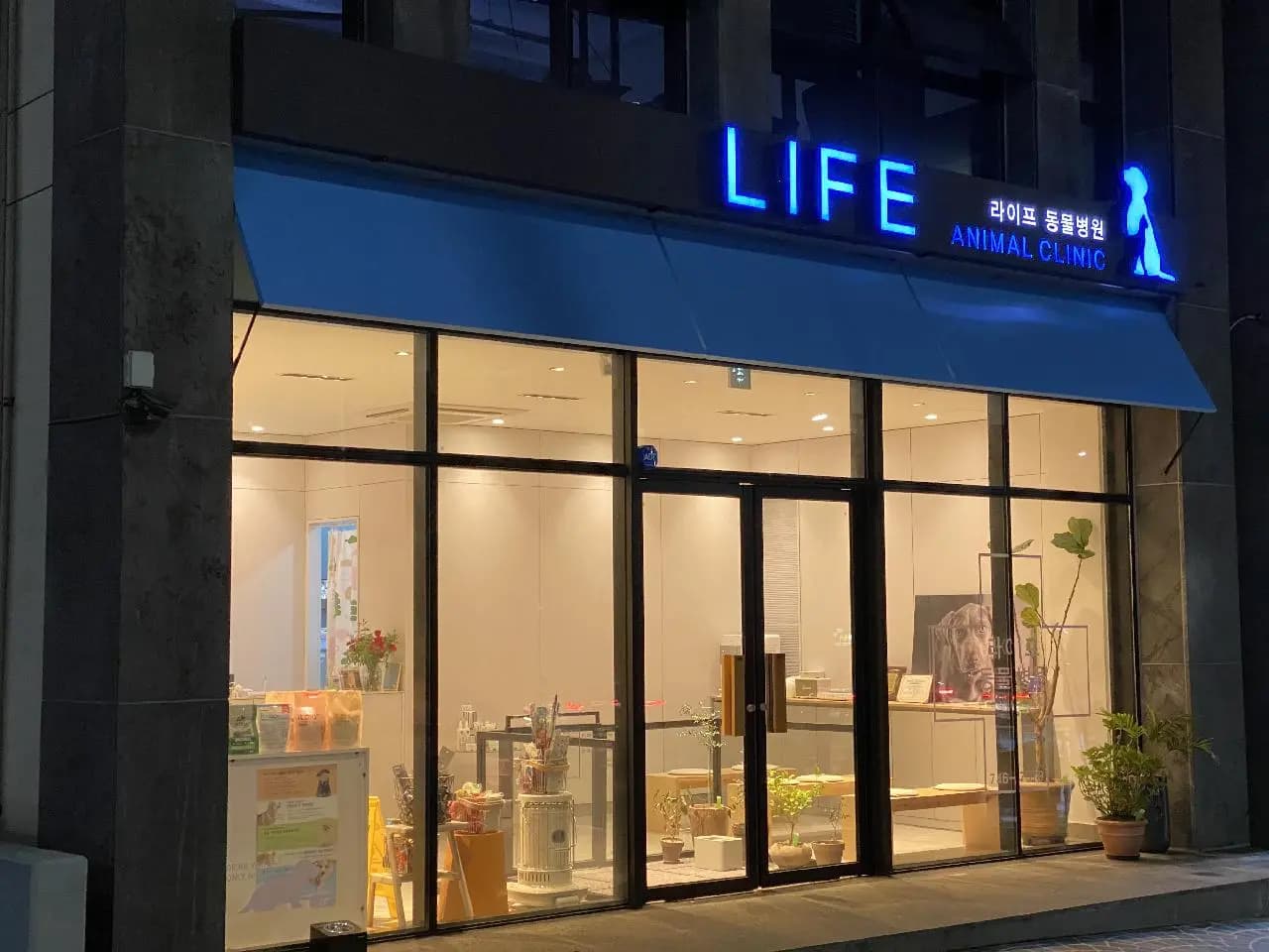 라이프동물병원 사진 1