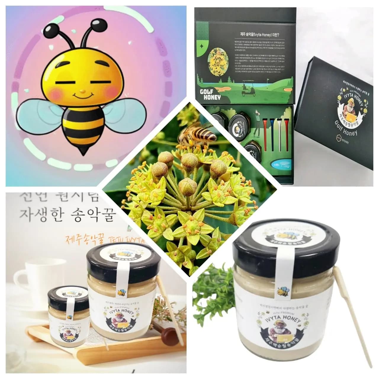 제주아이비타허니연구소 사진 1
