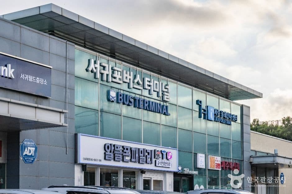 [제주올레 7-1코스] 서귀포 버스터미널-제주올레 여행자센터 올레 사진 1