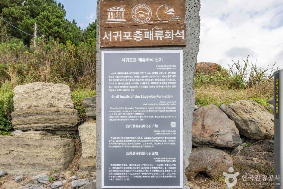 서귀포 패류화석산지 사진 2