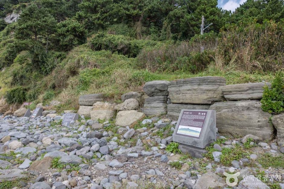 서귀포 패류화석산지 사진 3