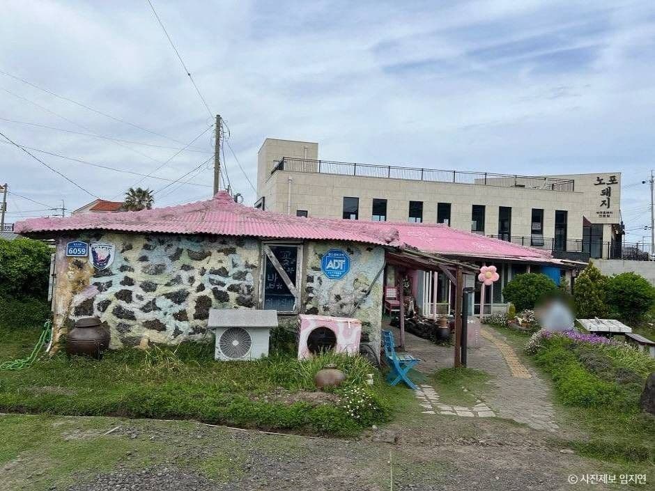 꽃밥 사진