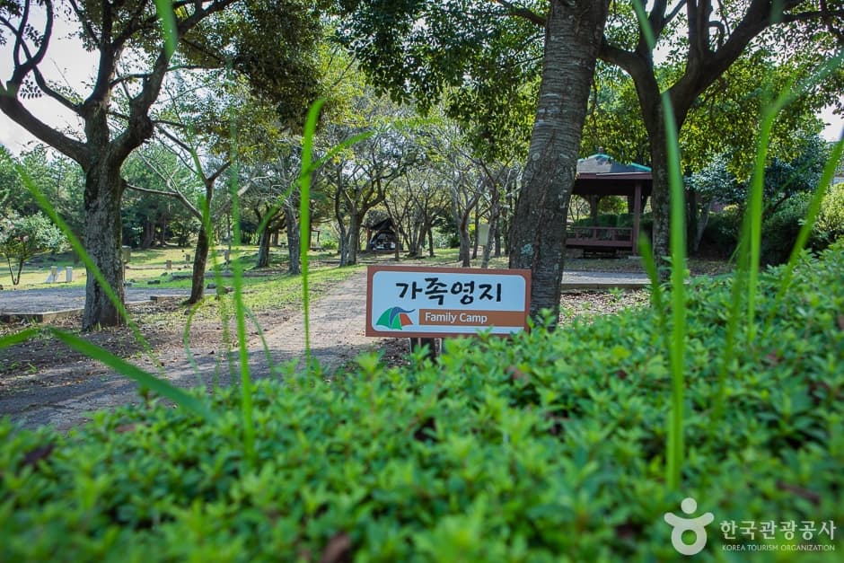 모구리야영장 사진 5