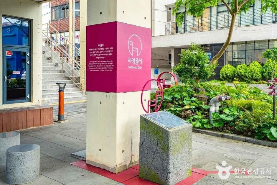 [하영올레] 3코스 사진 1