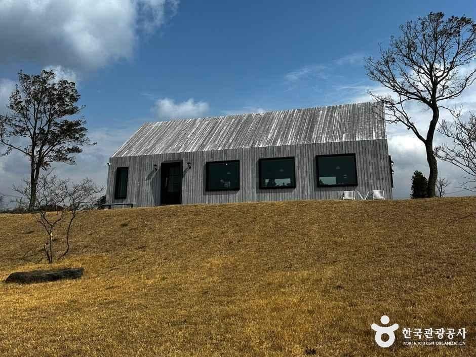 카페 어림비 사진