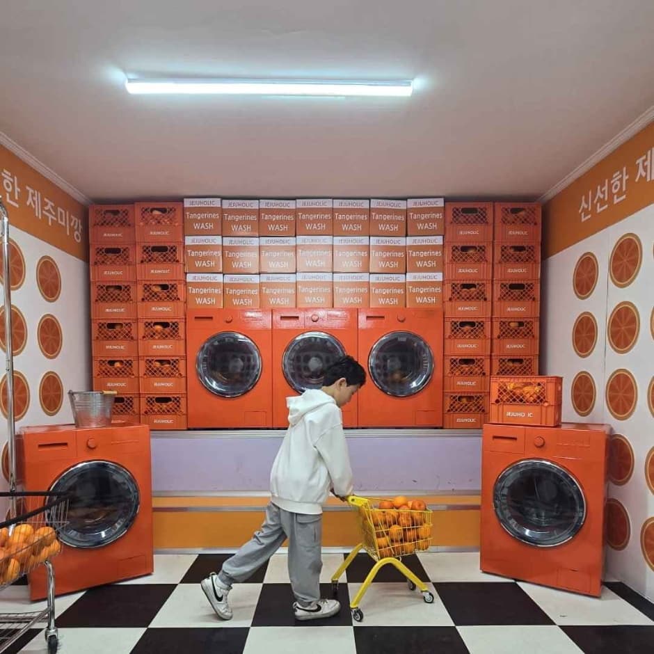 제주홀릭뮤지엄 사진 3