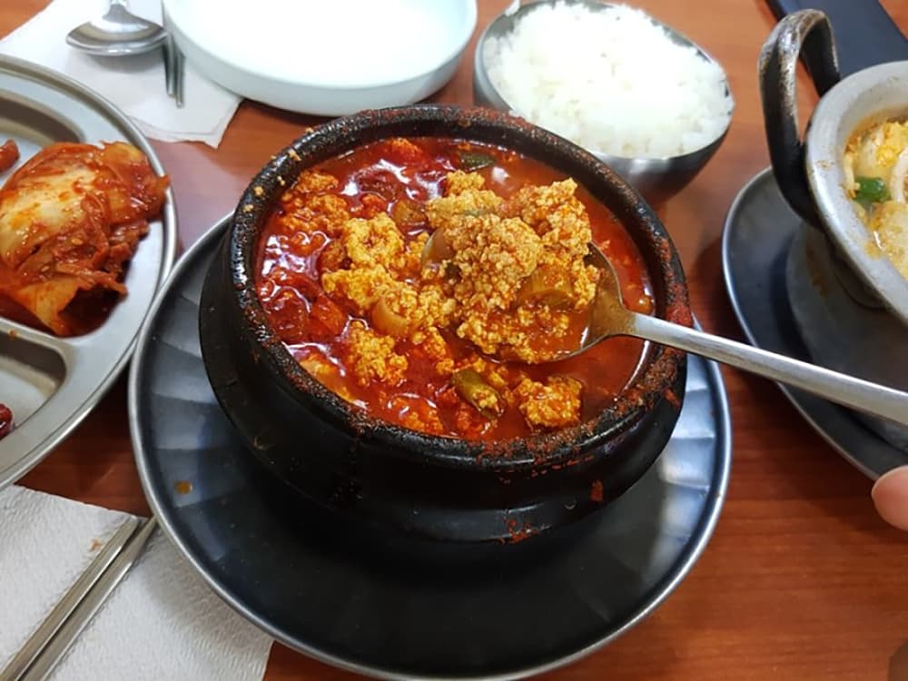 신해바라기 사진