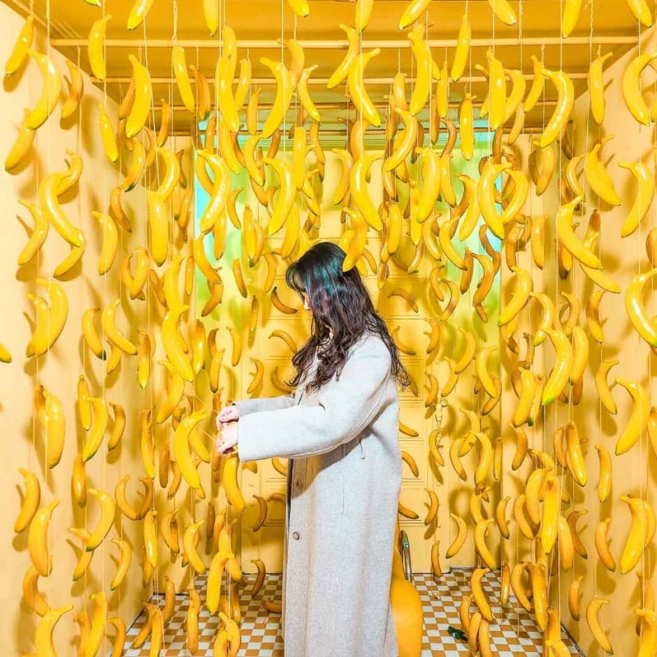 제주홀릭뮤지엄 사진 7