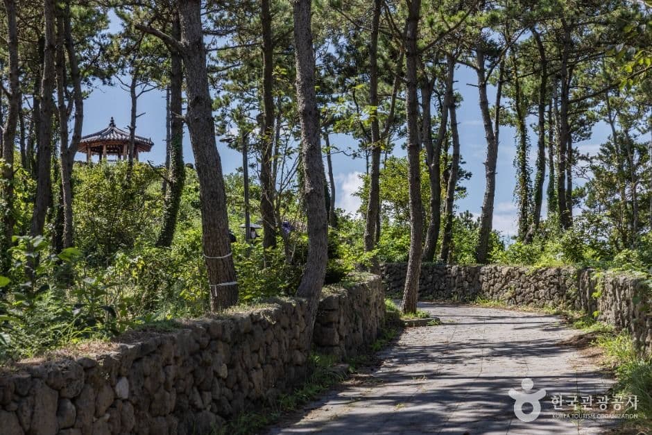 [제주올레 18-2코스] 하추자 올레 사진 2
