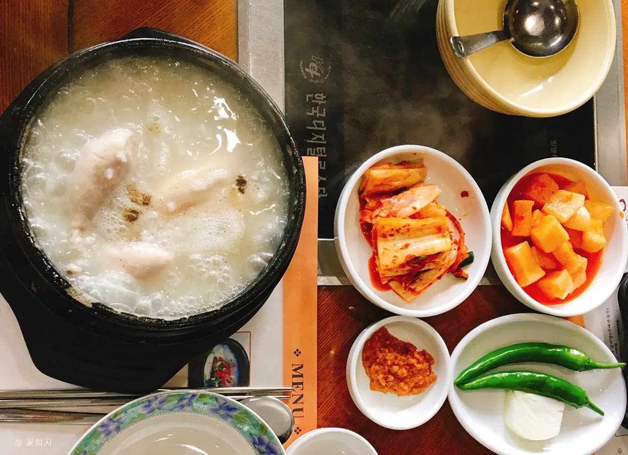 비원 사진