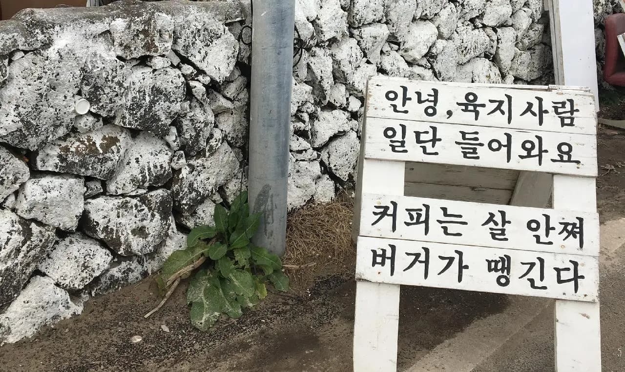 안녕육지사람 사진