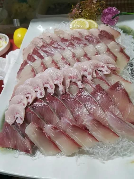 삼바리회센타 사진