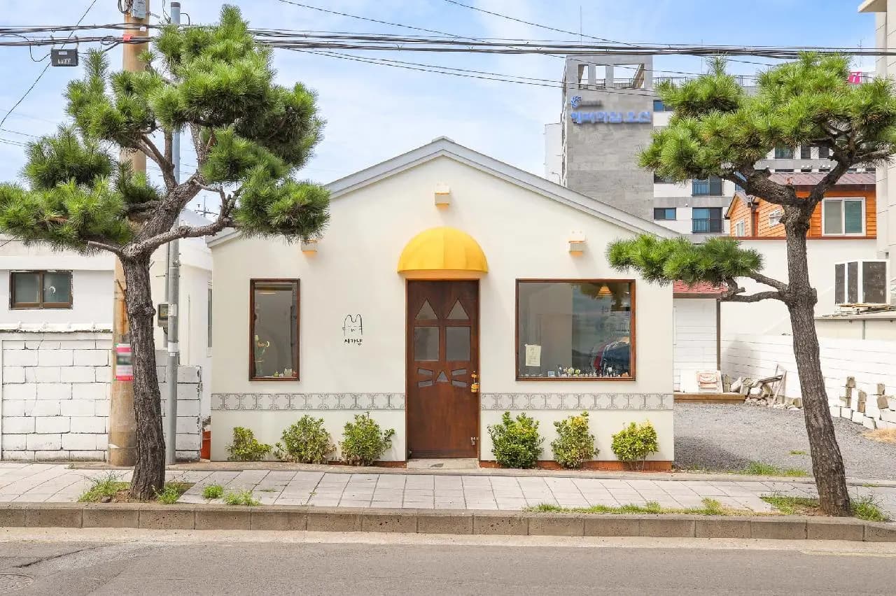 사가냥 사진 1