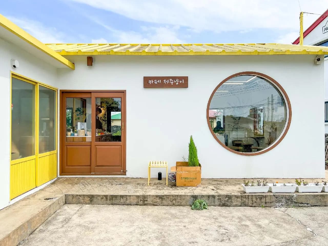 제주냥이 사진 1
