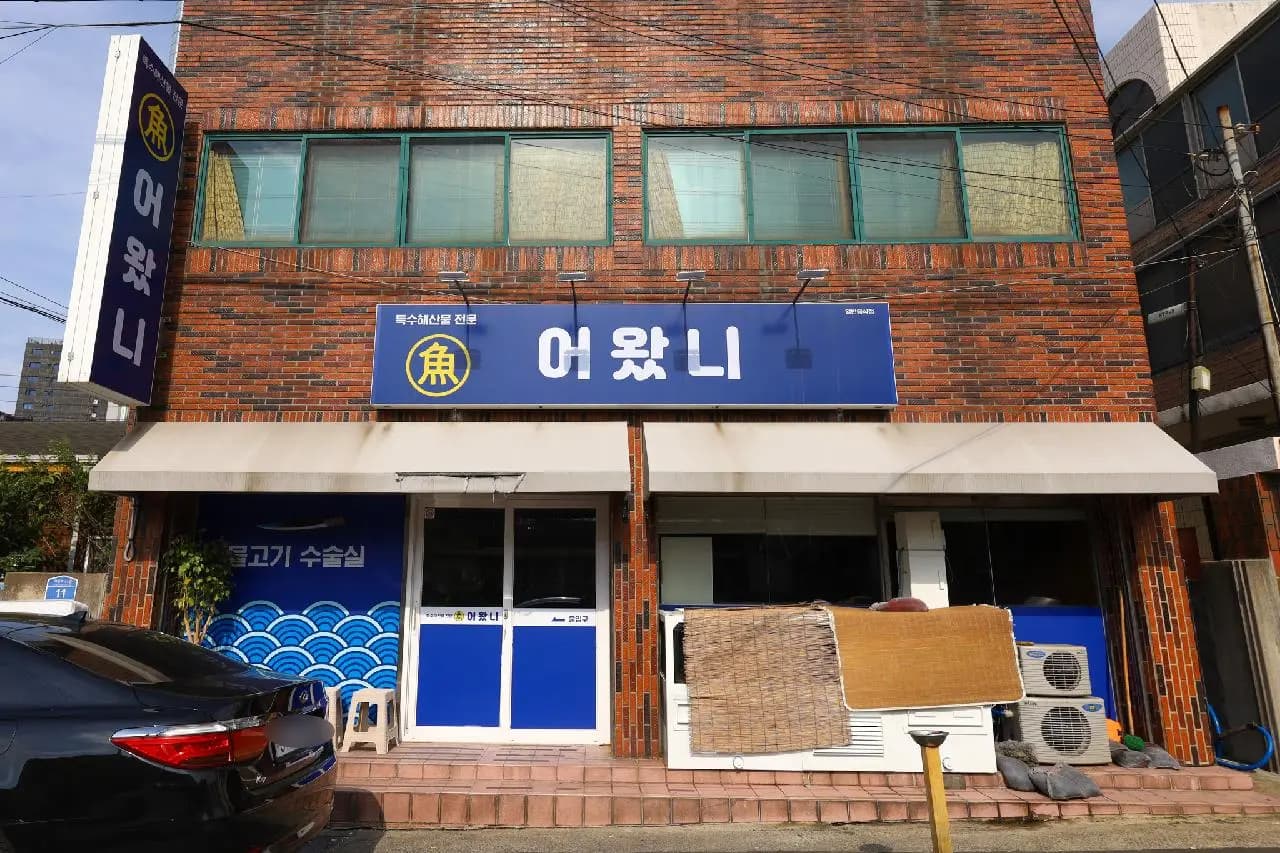 어왔니 사진