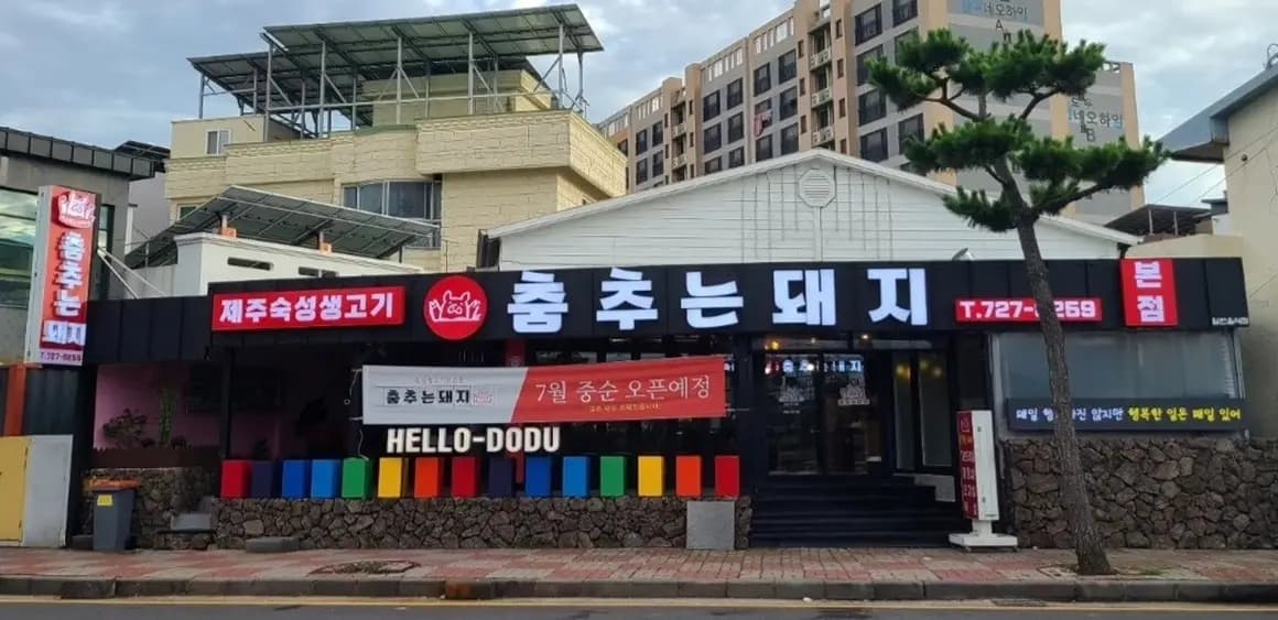춤추는돼지 사진