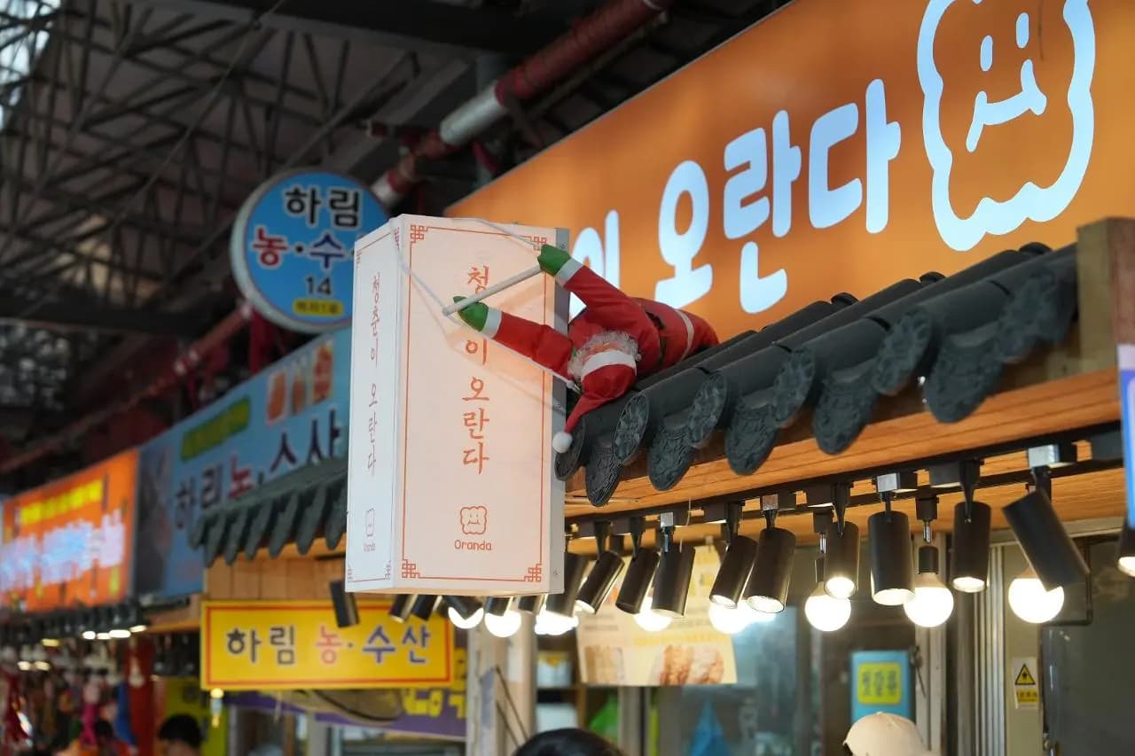 청춘이오란다 동문시장본점 탑동 사진