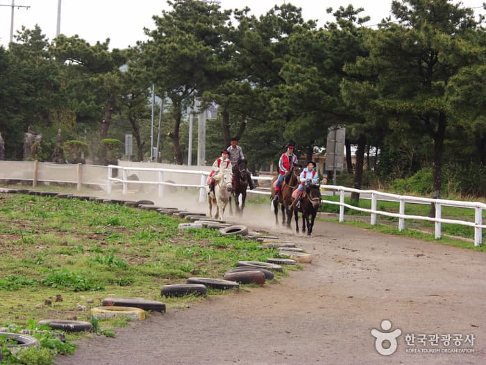 성읍승마장 사진 2