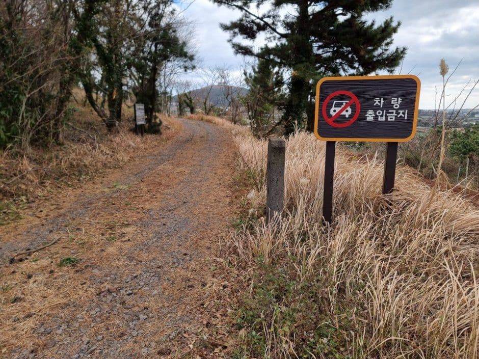 가시오름 사진 3