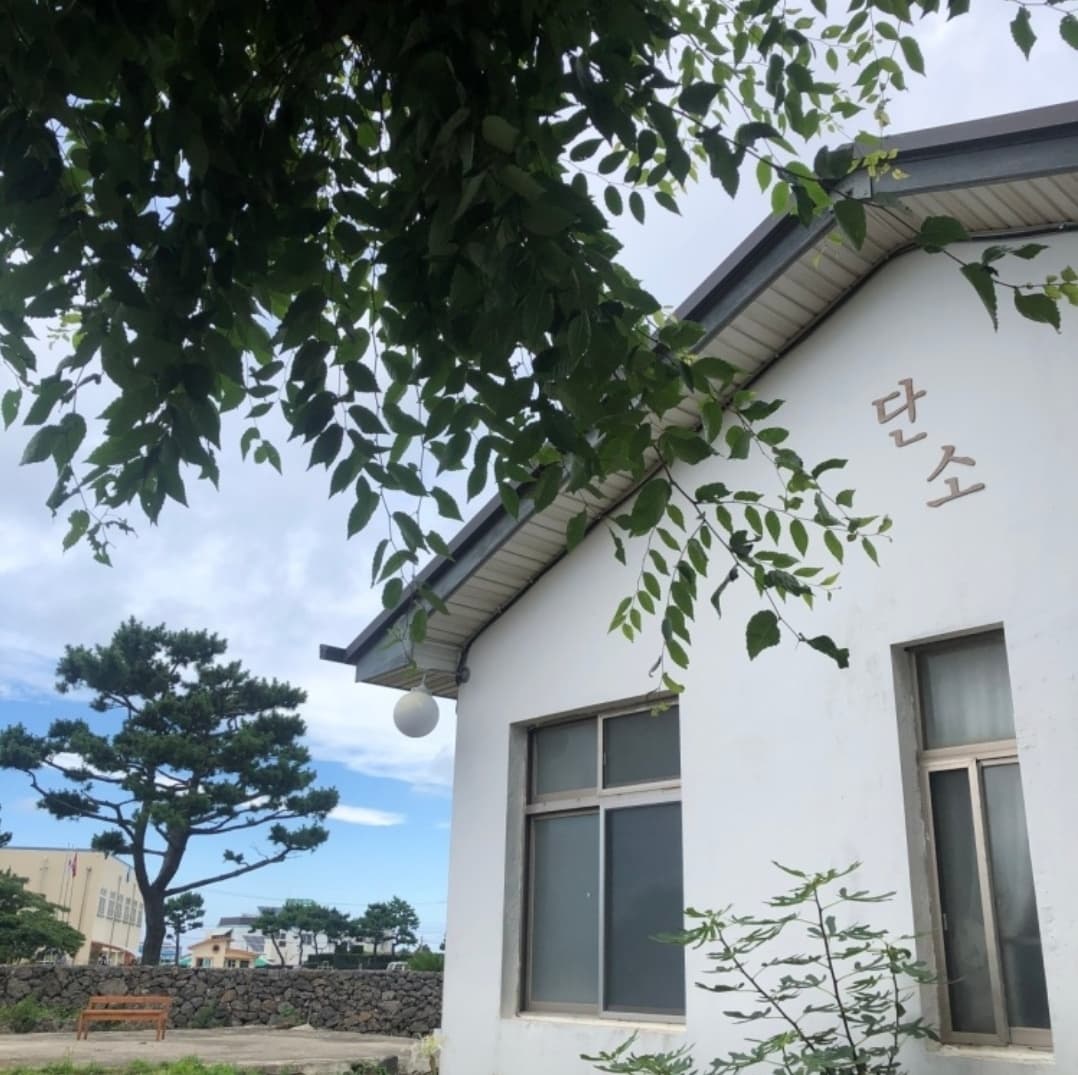 단소 사진