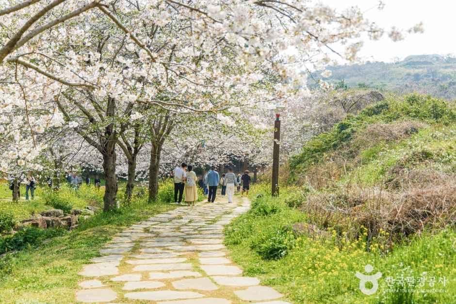 대왕수천예래생태공원 사진 1