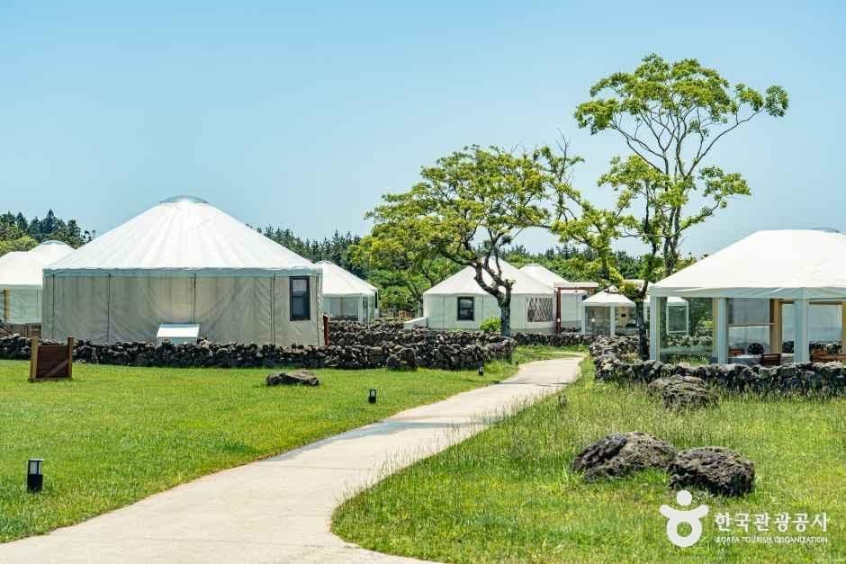 스타빌 사진 1