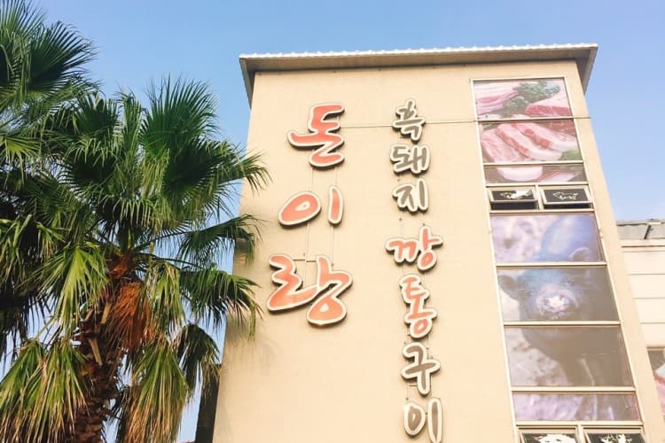 돈이랑 사진