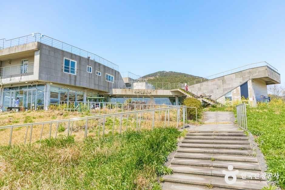 유채꽃프라자 사진 3