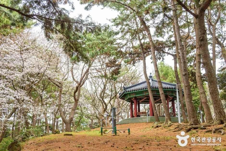 삼무공원 사진 1