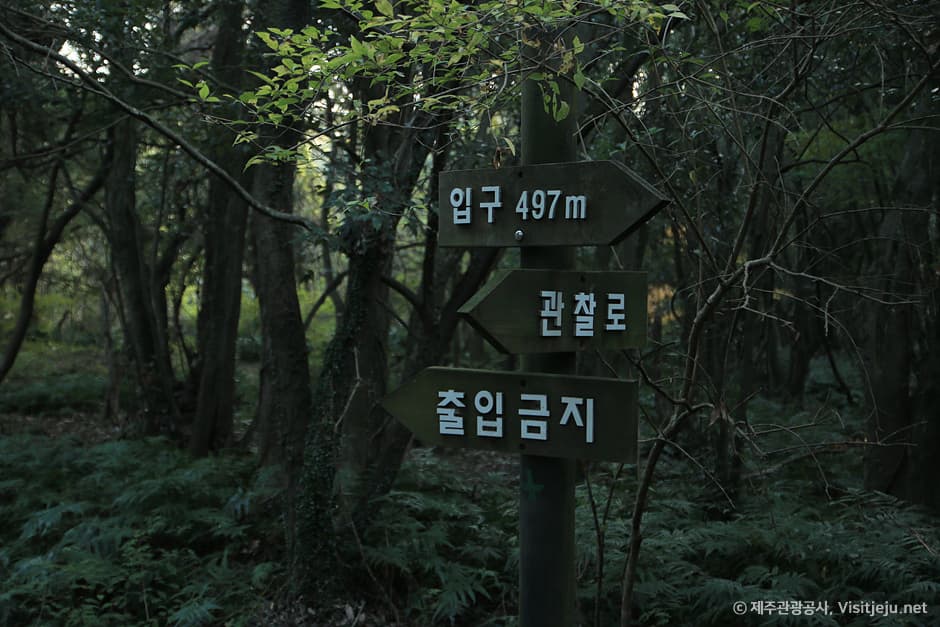 제주 청수리마을 사진 3