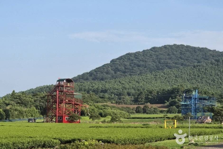 제주라프 사진 2