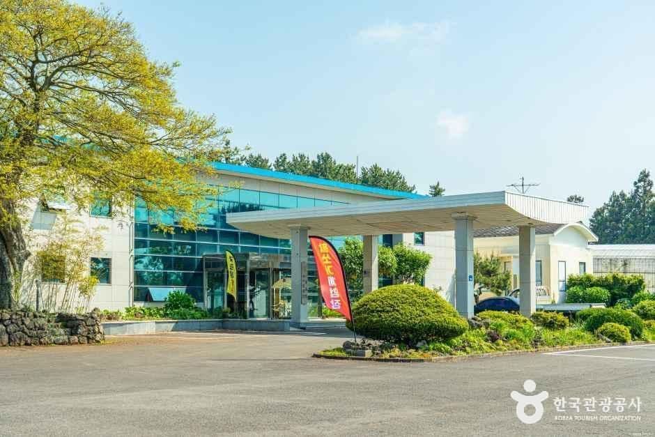 제주힐링명상테마파크 사진 1