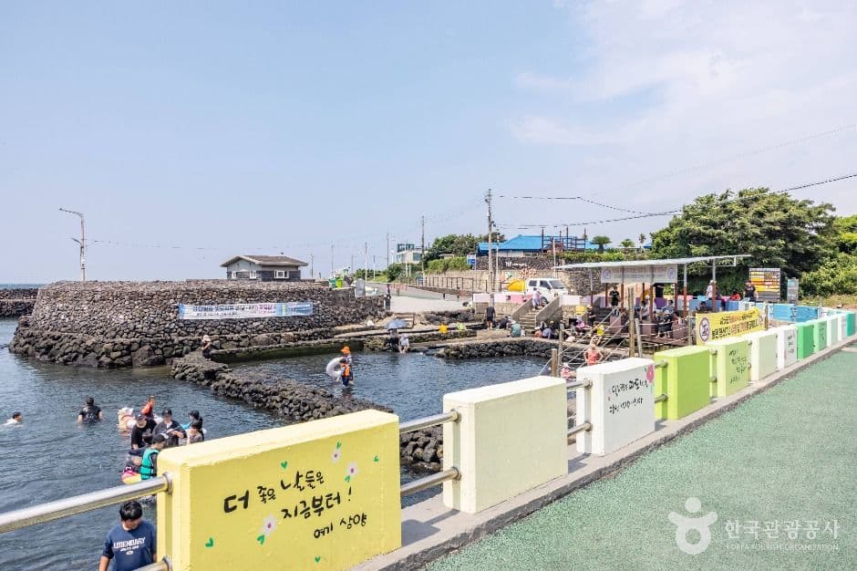 샛도리물 사진 2