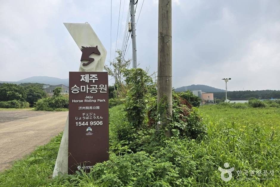 제주승마공원 사진 1