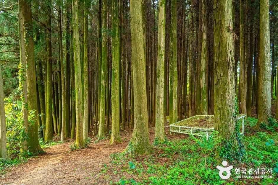 고배기동산 사진 1