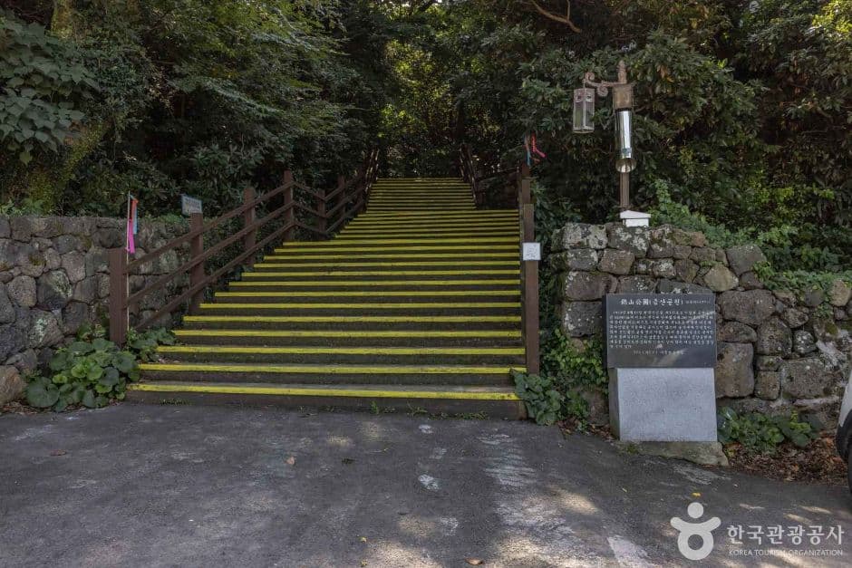 금산공원(납읍난대림지대) 사진 1