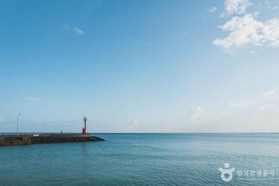 세기알해변 사진 3