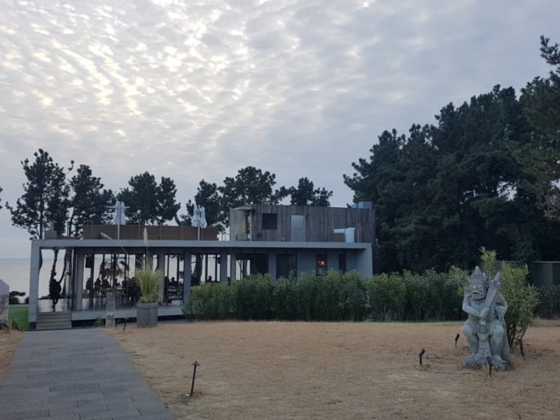 바다다 사진