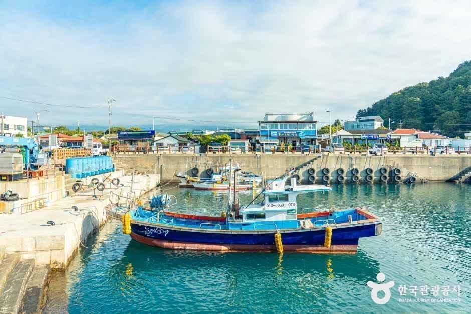 보목마을 사진 1