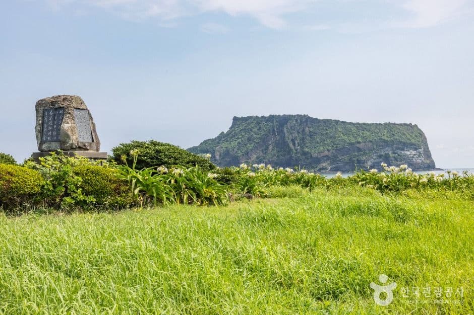성산포JC공원 사진 1
