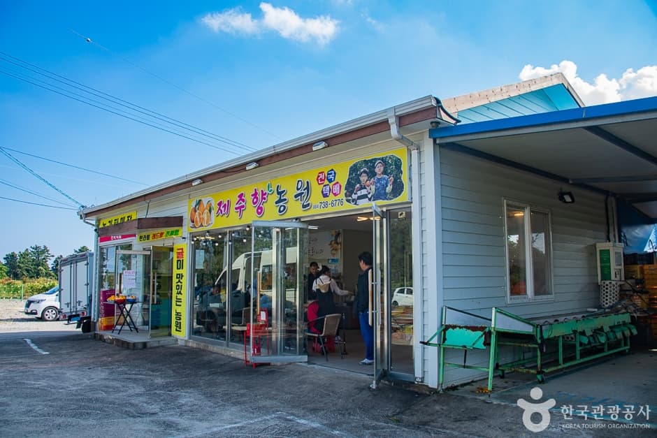 제주향농원 사진 1