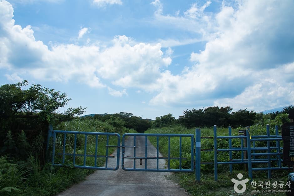 수망리 마흐니숲길 사진 2