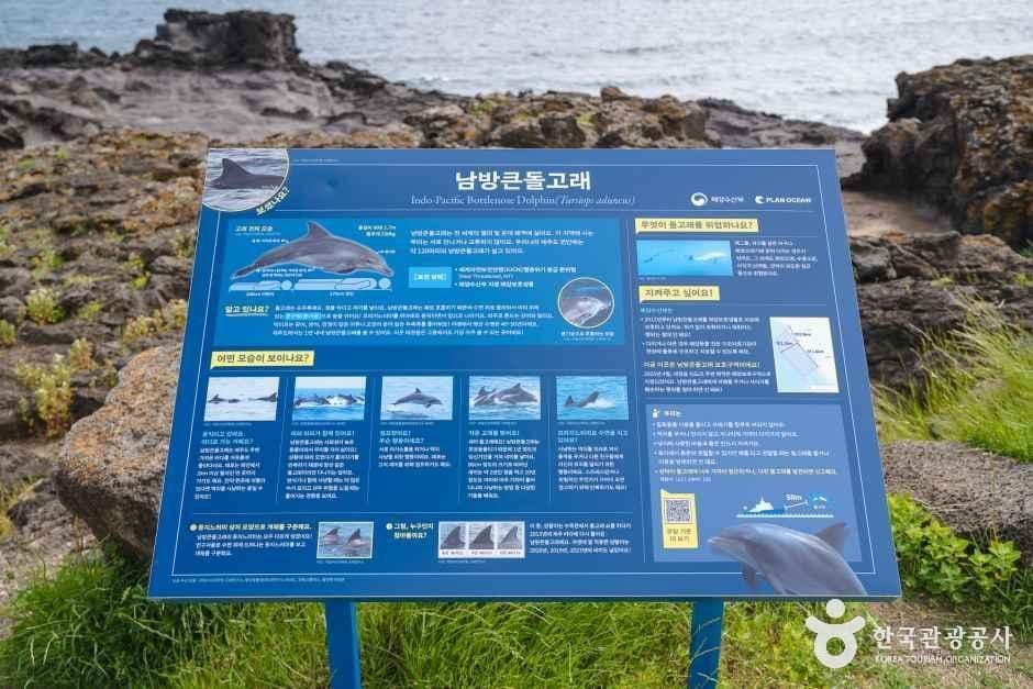 뿔소라공원 사진 3